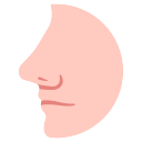Nose
